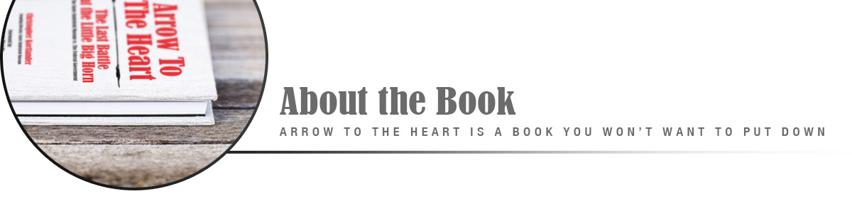 About the Book Arrow to the Heart